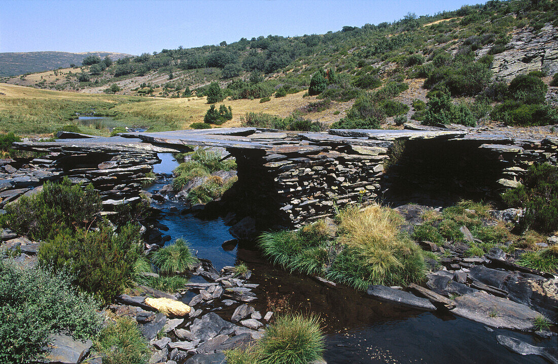 Lillas River. Tejera Negra beechwood. Cantalojas. Sierra de Ayllon. Guadalajara province. Castilla-La Mancha. Spain