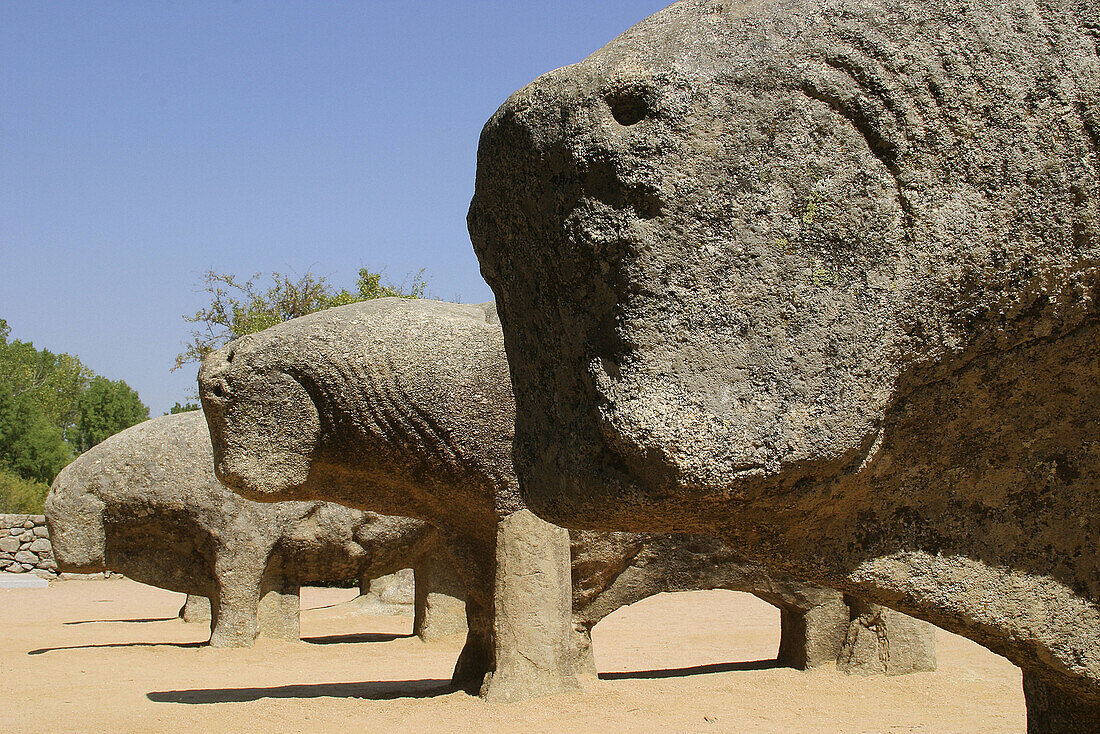 Toros de Guisando ( Guisando bulls ), celtic art, 3rd century B.C. El Tiemblo, Ávila province, Castilla-Léon, Spain