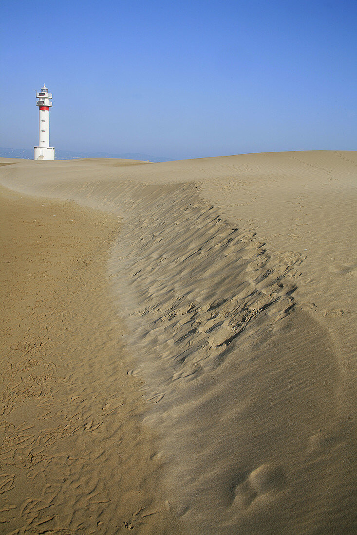 Lighthouse at Punta del Fangar and dunes, Ebro River delta Natural Park. Tarragona province, Catalonia, Spain