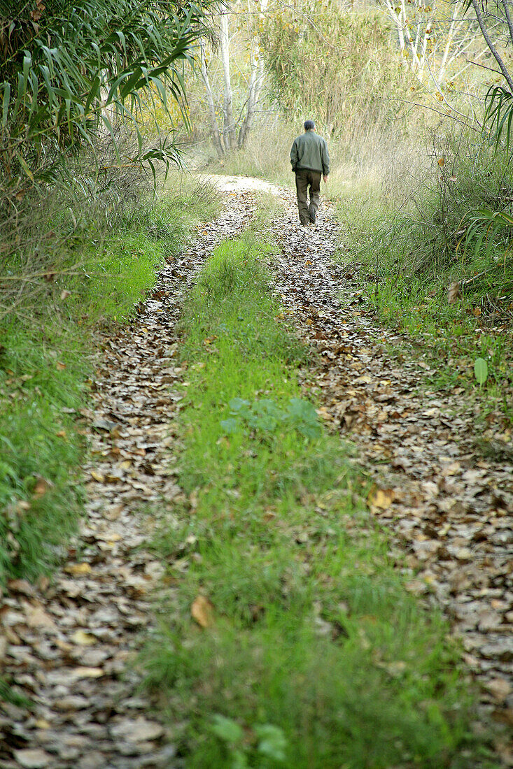 Man on the road.