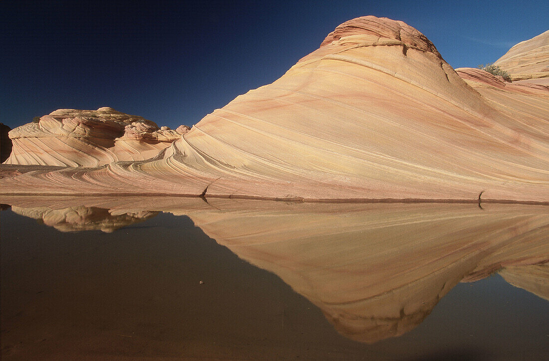 Sandstone formations, Second Wave. Paria Canyon Vermilion Cliffs Wilderness Area, Arizona, USA