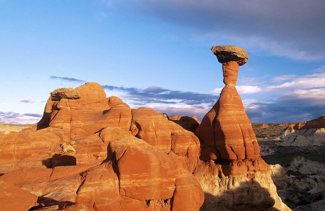 Toadstool Hoodoo. Escalante Grand Staircase National Monument. Utah. USA.