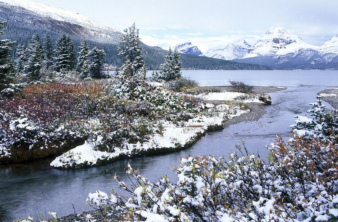 Bow Lake and Rocky Mountains, Banff Narional Park. Alberta, Canada