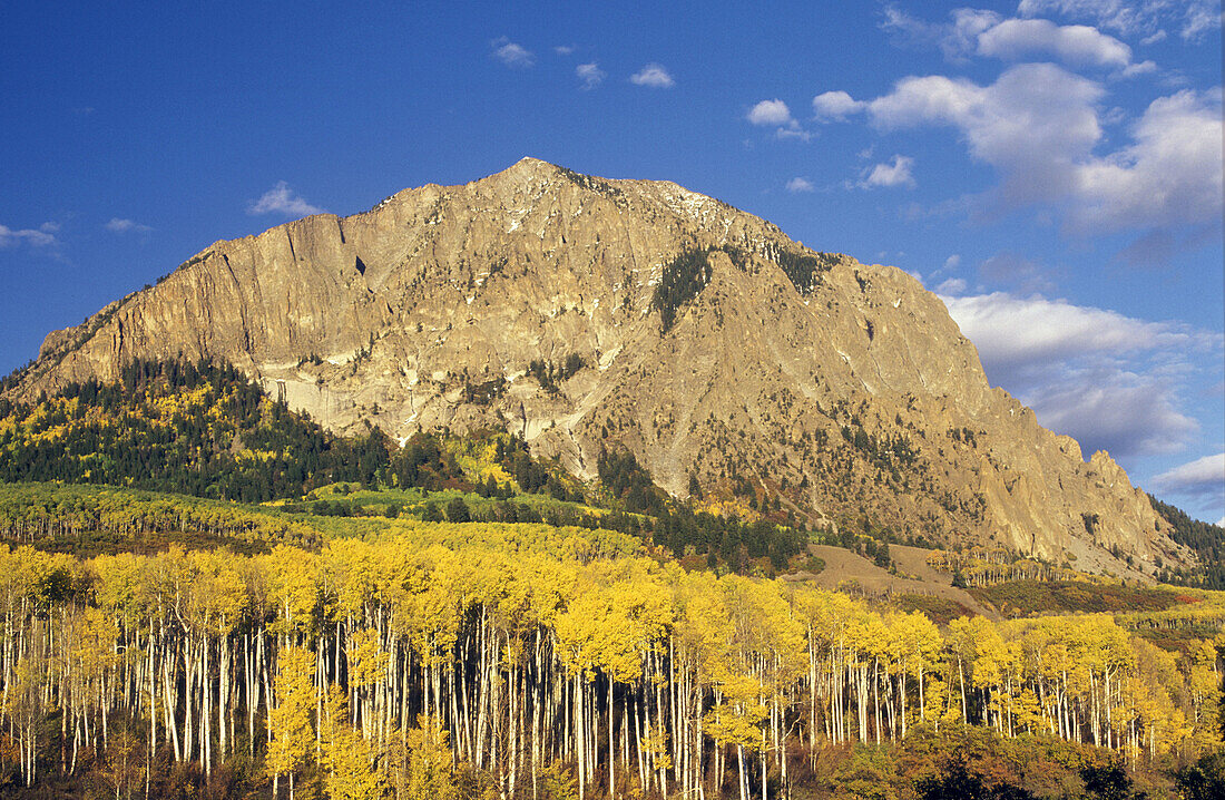 Marcellina Mountains and Aspen in autumn, Gunnison National Forest, Rocky Mountains, Colorado, USA