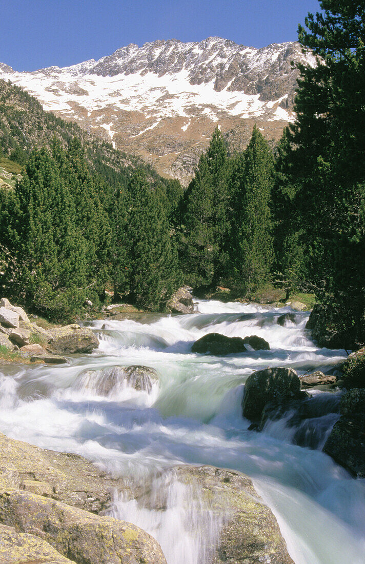 Saint Nicolas river in the Aiguestortes National Park (Pyrenees). Lleida province. Catalonia. Spain