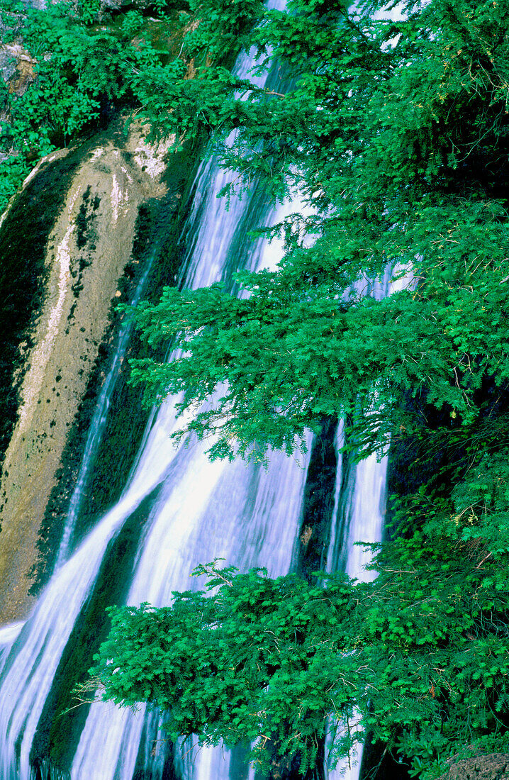 Source of the River Mundo in the Rio Mundo Natural Park. Albacete province. Castilla la Mancha. Spain