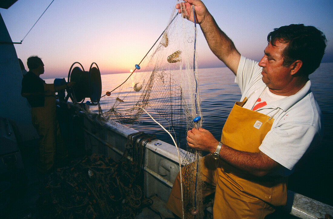 Fishing prawns in the Mediterranean sea. Castellon coast. Comunidad Valenciana, Spain