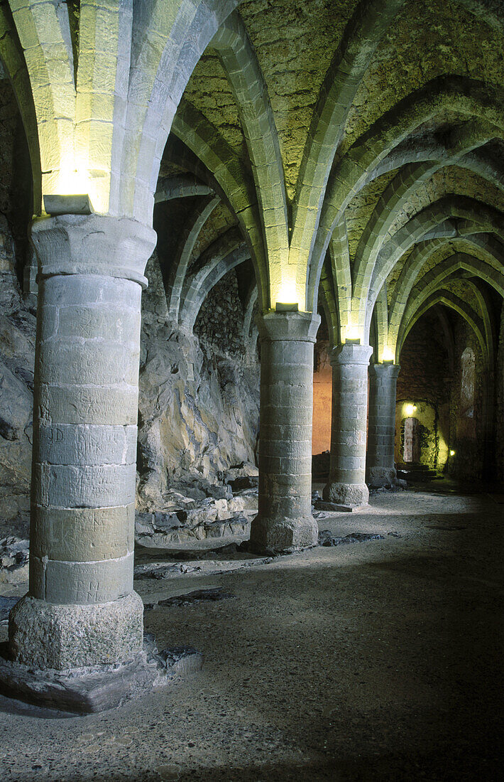Old prison of Chillon castle (XIIIth century). Montreaux. Switzerland.