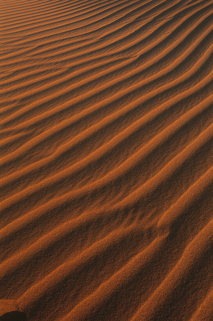 Dunes. Namib-Naukluft Park. Namib Desert. Namibia