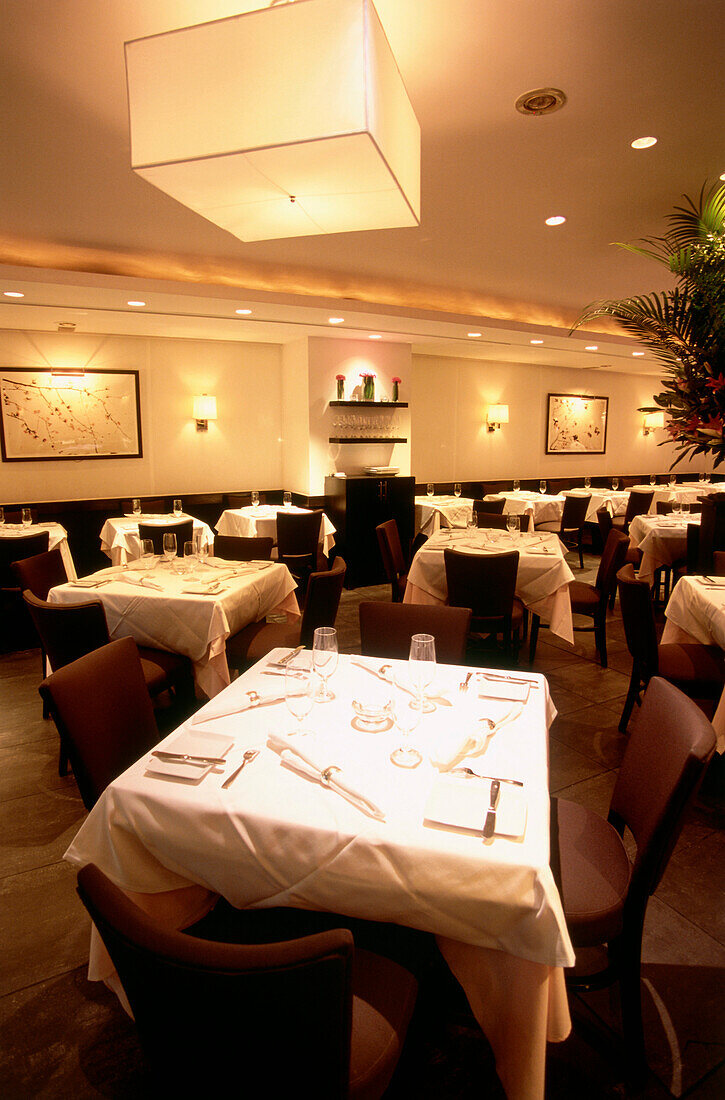 Interior view of Restaurant Anthos, Manhattan, New York, USA, America