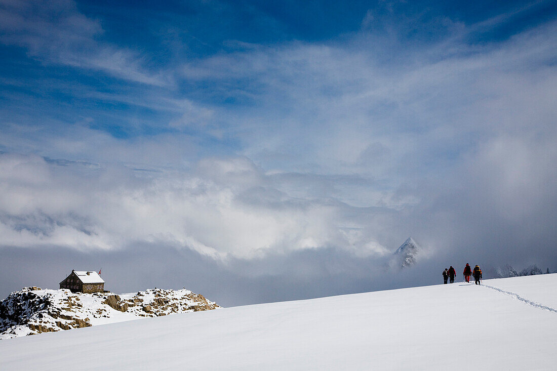 Vier Bergsteiger in einer Seilschaft wandern über einen Gletscher, Berner Oberland, Kanton Bern, Schweiz