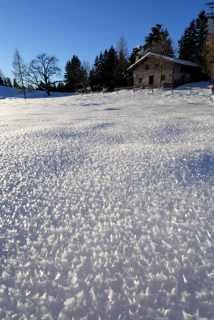 Schnee mit Raureif (Rauhreif) und Almhütte, Hochries, Chiemgau, Oberbayern, Bayern, Deutschland