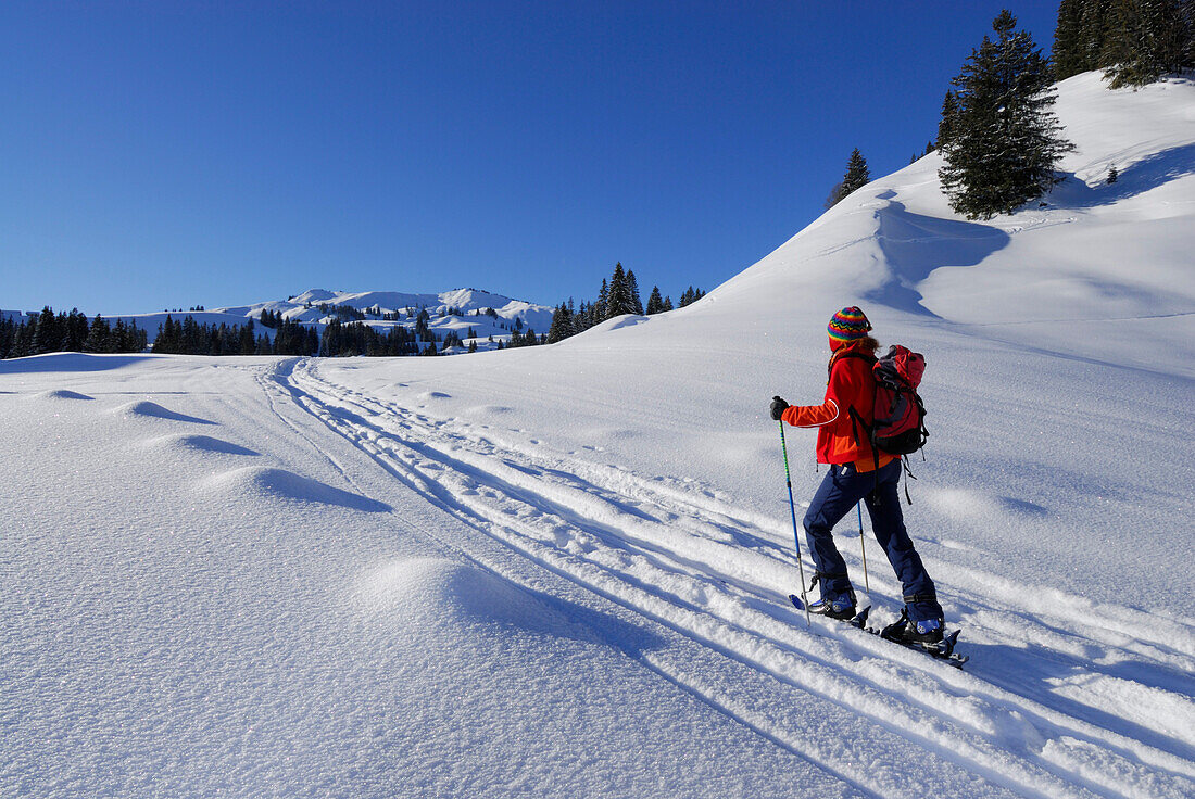 young woman ascending Höllritzereck and Bleicherhorn through powder snow with hoar frost, Allgaeu range, Allgaeu, Schwabia, Bavaria, Germany