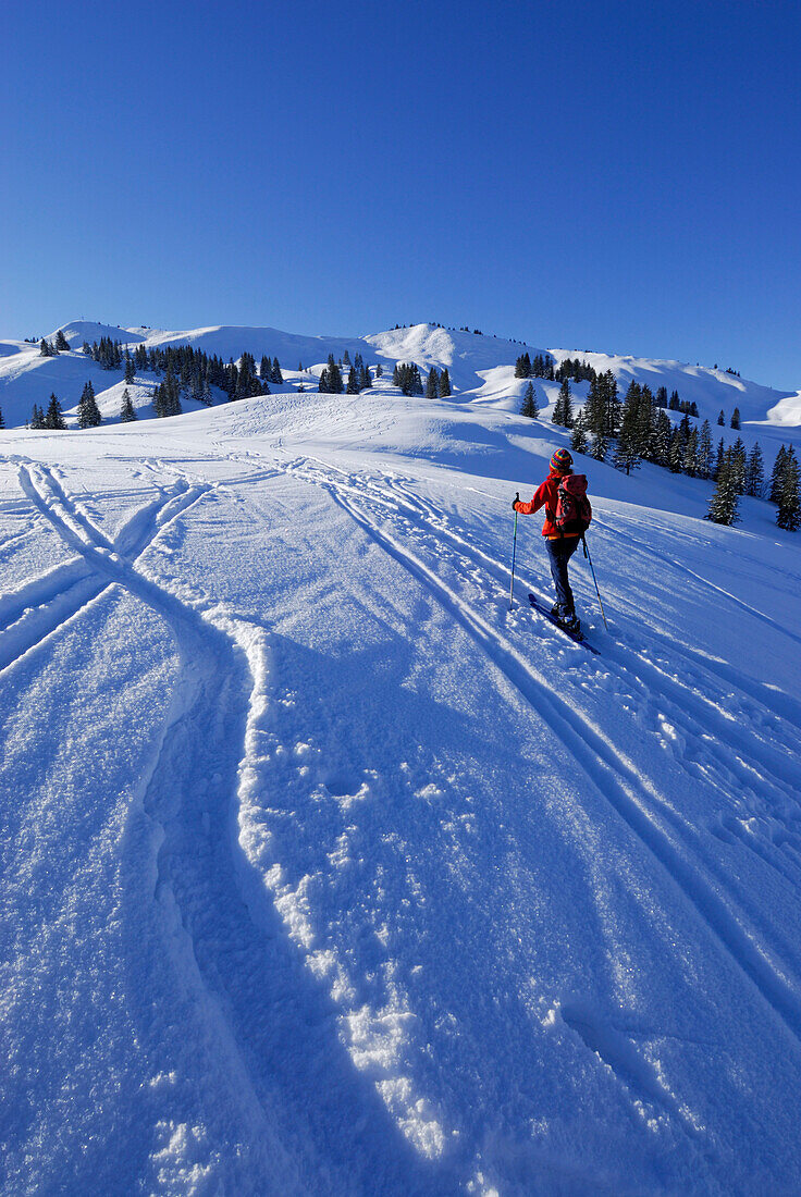 Junge Frau im Aufstieg durch Pulverschnee mit Raureif (Rauhreif) zum Höllritzereck und Bleicherhorn, Allgäuer Alpen, Allgäu, Schwaben, Bayern, Deutschland