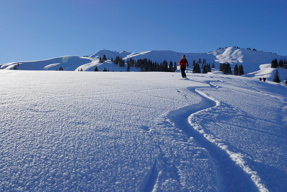 young woman skiing in powder snow with hoar frost beneath Höllritzereck and Bleicherhorn, Allgaeu range, Allgaeu, Schwabia, Bavaria, Germany