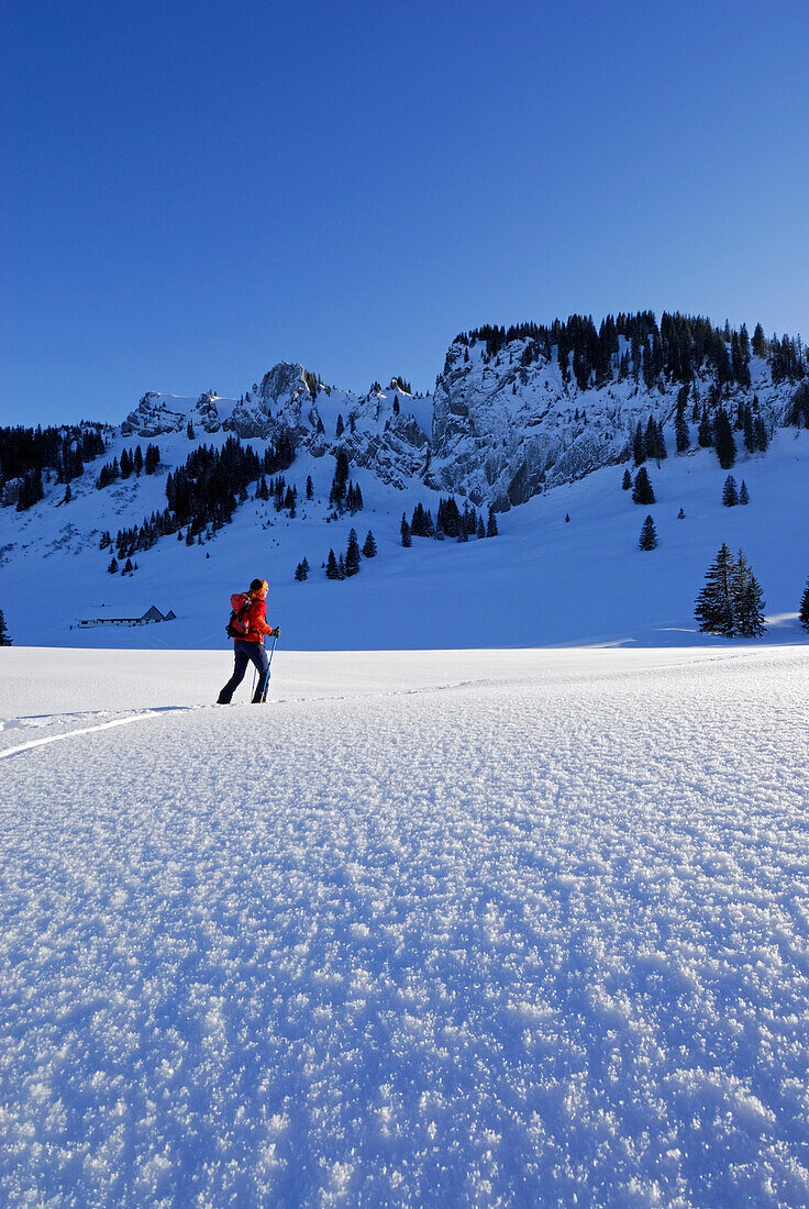 Junge Frau im Aufstieg durch Pulverschnee mit Raureif (Rauhreif) unter dem Besler bei der Schönbergalm, Allgäuer Alpen, Allgäu, Schwaben, Bayern, Deutschland