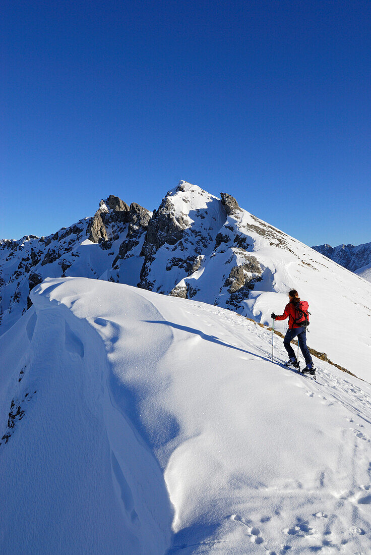 young woman ascending ridge with cornices of Engelspitze, Lechtal range, Tyrol, Austria