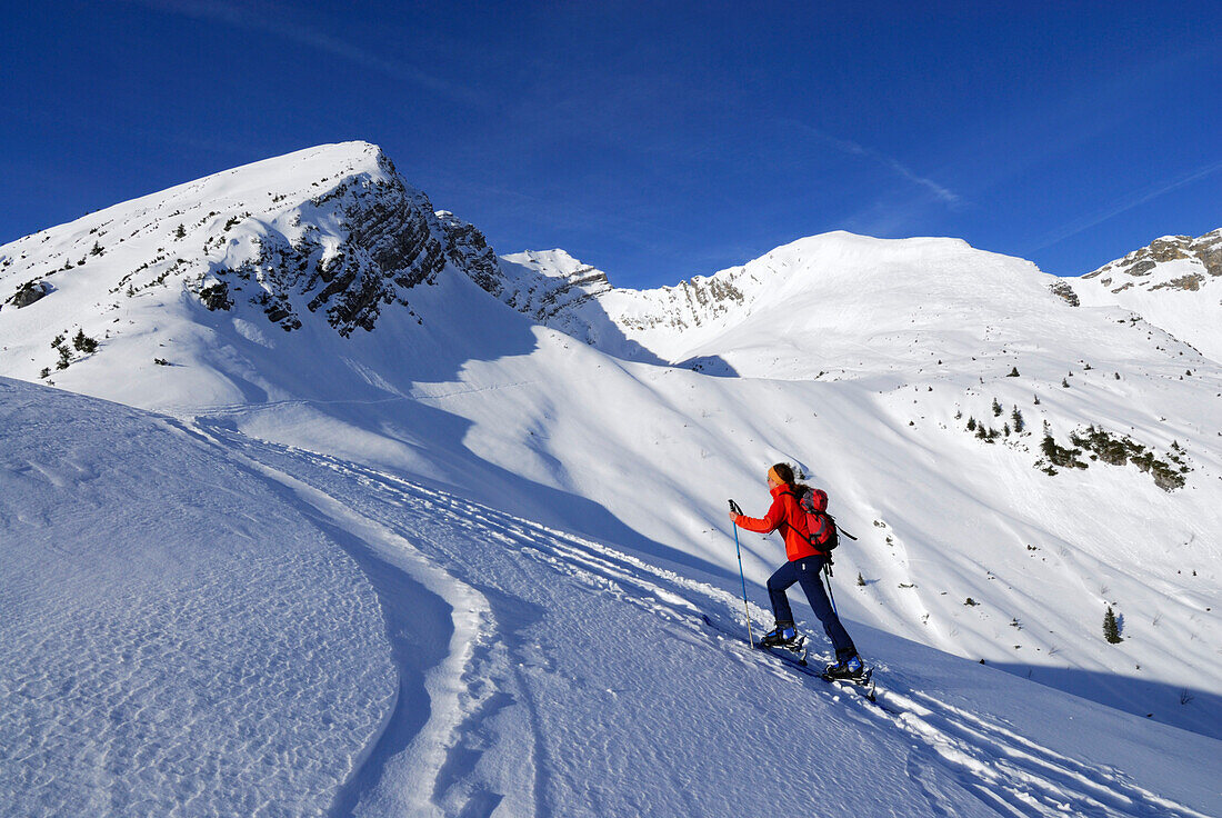 young woman ascending Hintere Steinkarspitze near Kelmer Jöchl, Lechtal range, Tyrol, Austria