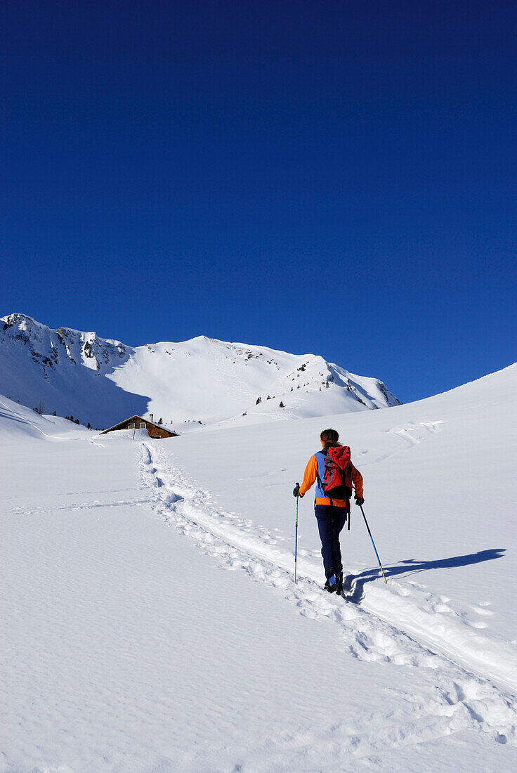 Female backcountry skier in Kleinwalsertal, alpine hut in background, Allgaeu Alps, Vorarlberg, Austria