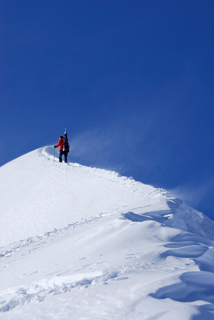 young woman ascending summit ridge of Güntlespitze, Kleinwalsertal, Allgaeu range, Allgaeu, Vorarlberg, Austria