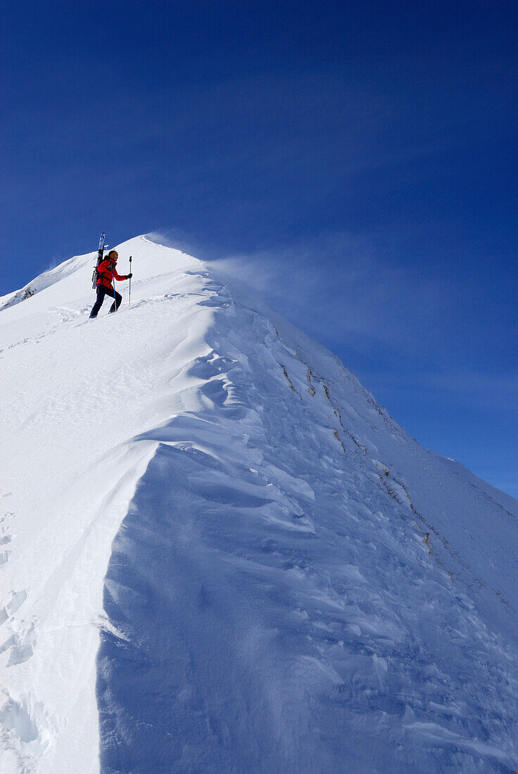 Female backcountry skier ascending summit ridge, Kleinwalsertal, Allgaeu Alps, Vorarlberg, Austria