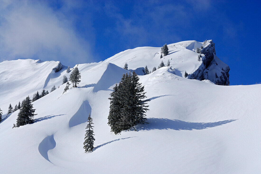 Snow covered mountain scenery with cornices and trees, Allgaeu Alps, Bavaria, Germany