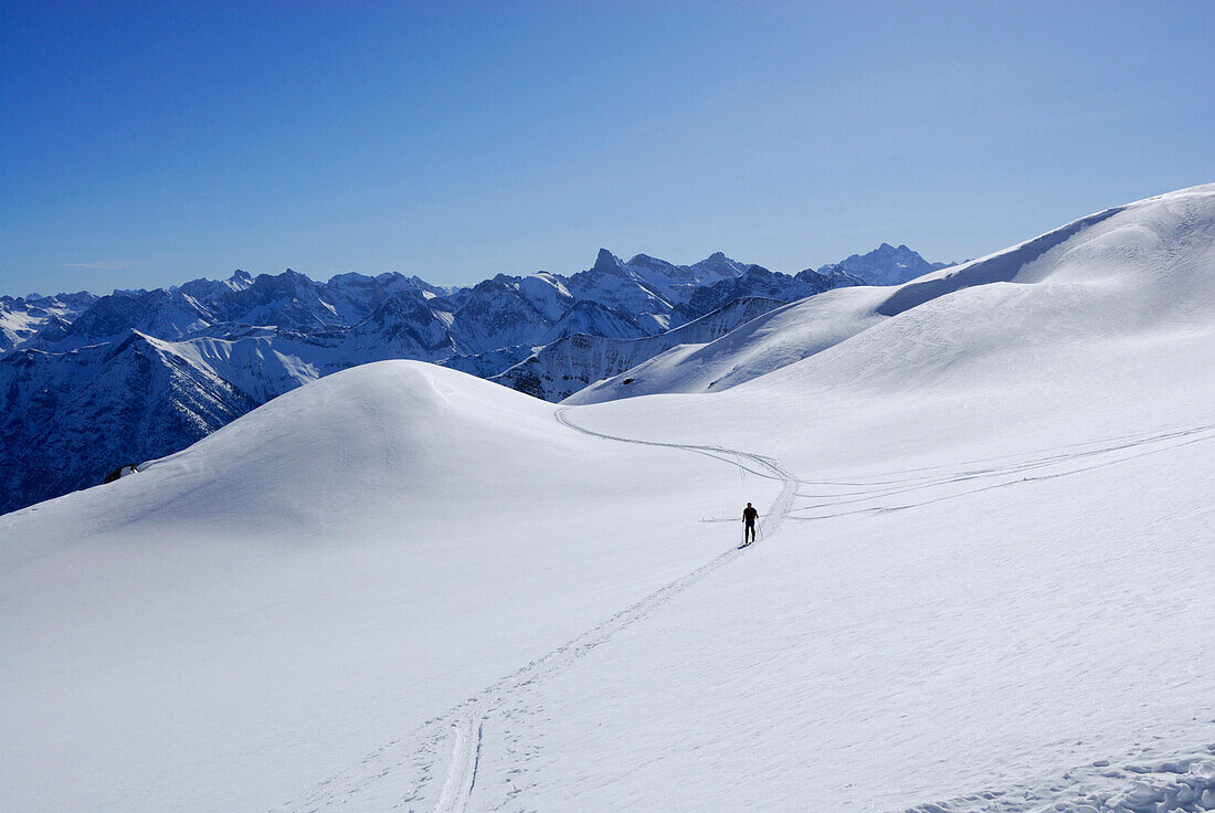 Backcountry skier ascending Madelegabel, Allgaeu Alps, Tyrol, Austria