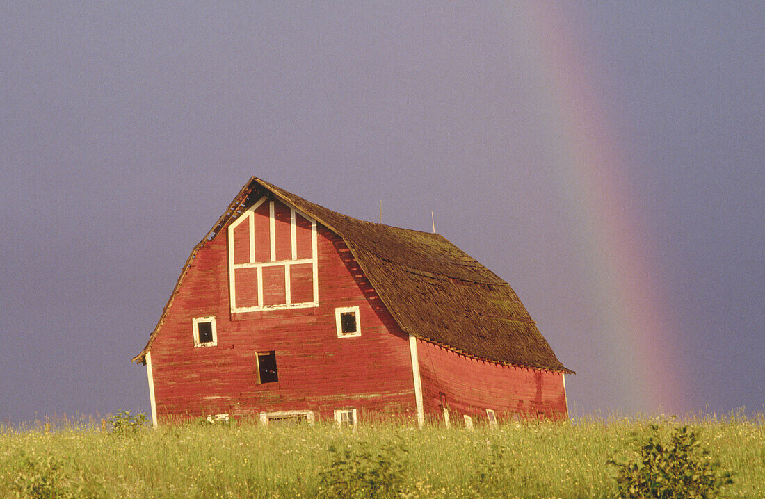 Red barn and rainbow after summer thunderstorm. Wisconsin. USA