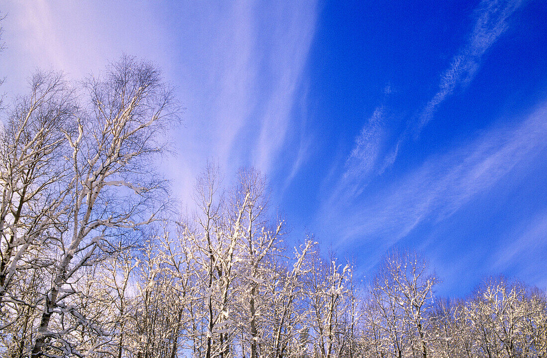 Winter skies. Warren. Ontario. Canada