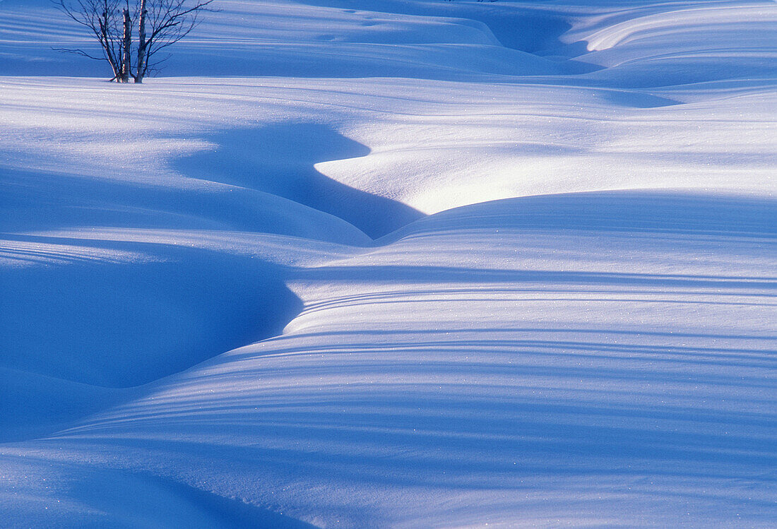 Tree shadows falling on snow contours around small creek. Sudbury. Ontario, Canada