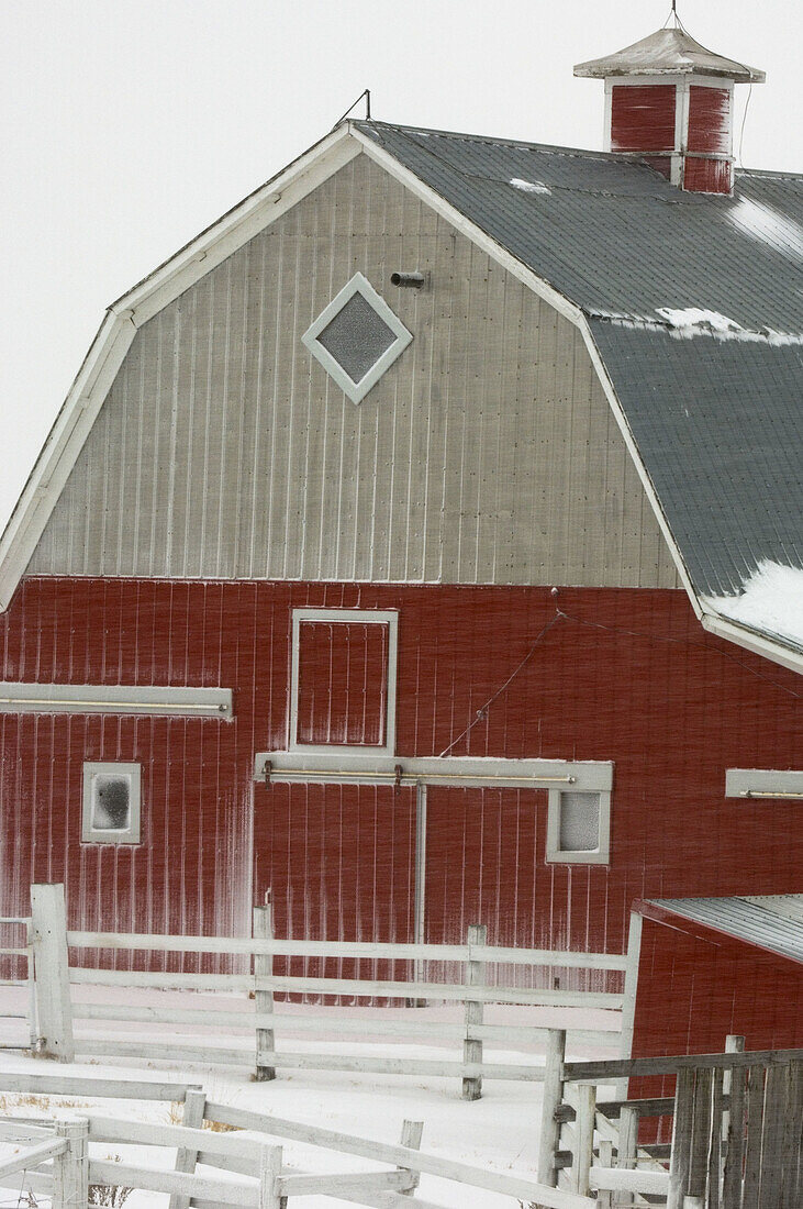 Red barn in late winter blizzard. Trochu, Alberta, Canada 