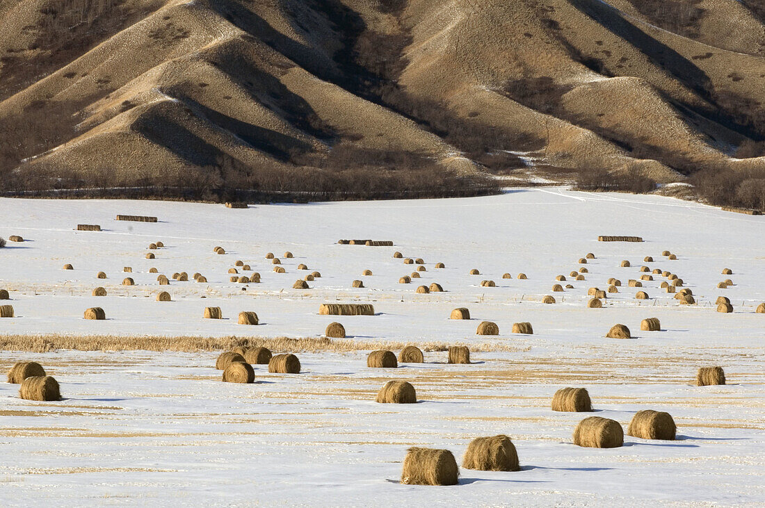 Qu Appelle River Valley with light snow and hay bales. Saskatchewan, Canada