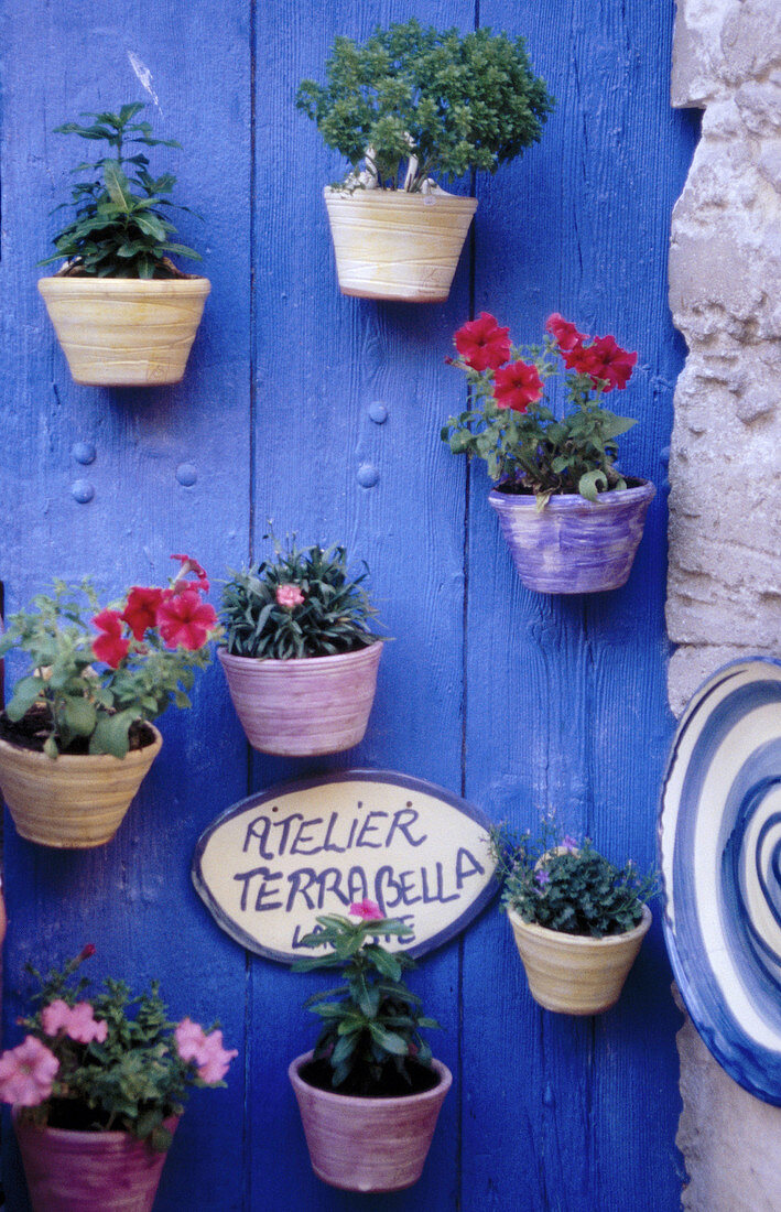 Mixed flower pots hanging on blue door. Provence. France