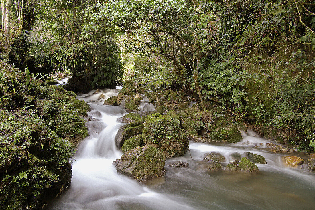 Grutas del Rey Marcos river. San Juan Chamelco. Alta Verapaz, Guatemala.