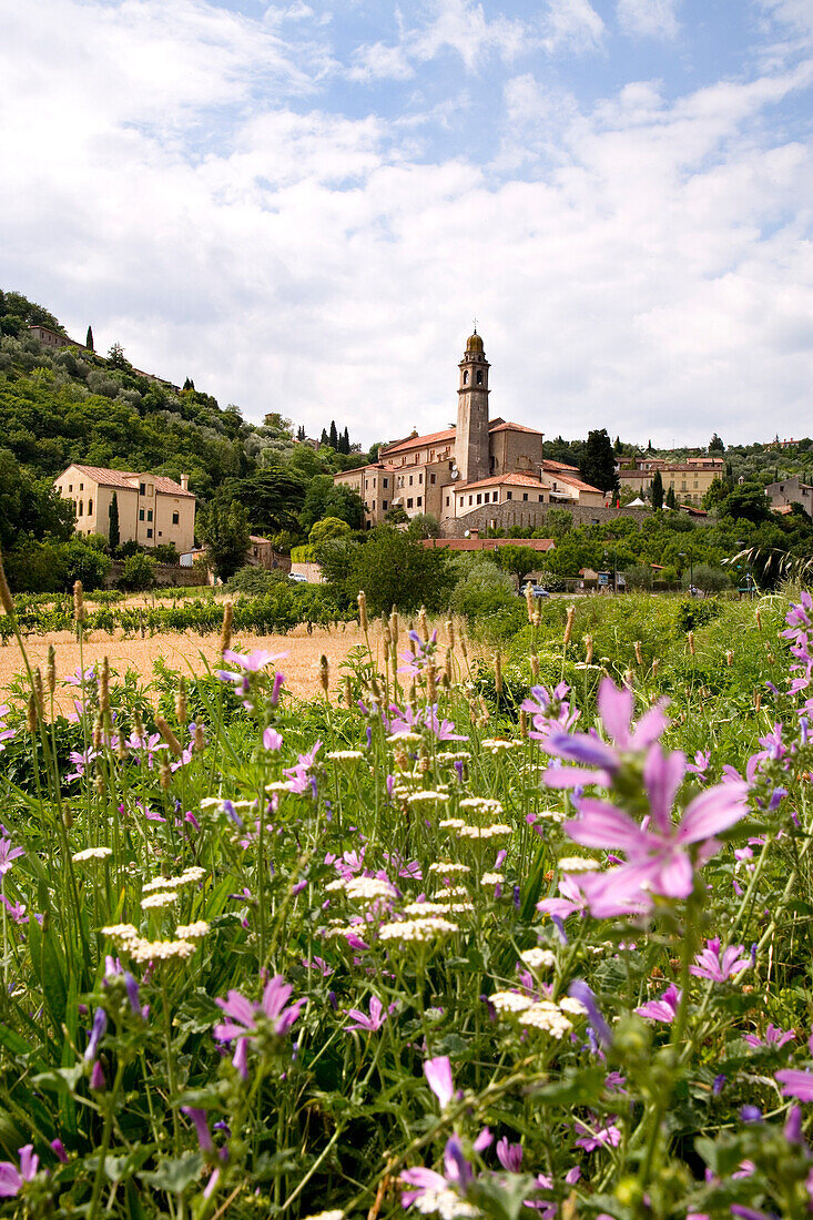 Arqua Petrarca, Eugeaneische Hügel, Venetien, Italien