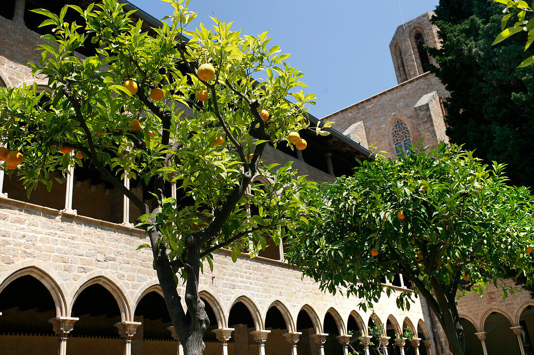 Monestir de Pedralbes, Barcelona, Catalonia, Spain