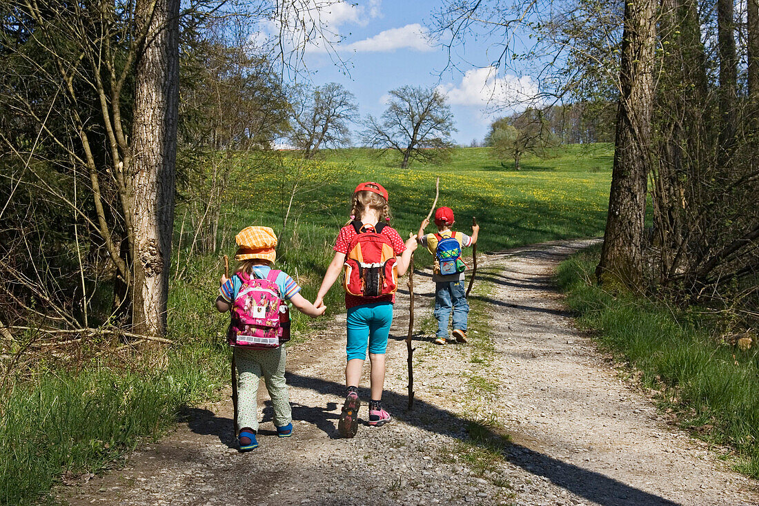 Drei Kinder (3-6 Jahre) wandern mit Wanderstöcken, Oberbayer, Bayern, Deutschland