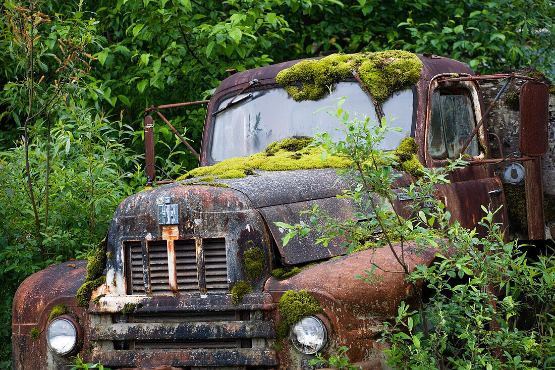 Bemoostes Autowrack bei Petersburg, Alaska, USA