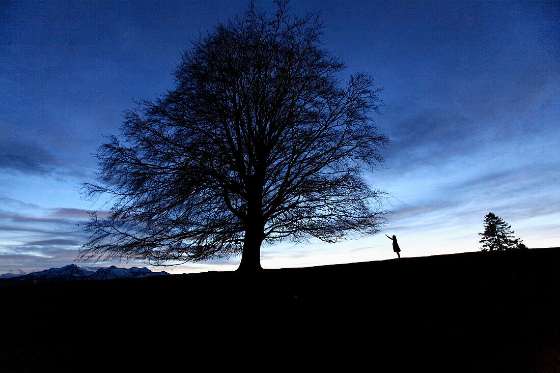 Young woman reaching for a tree, Fussen, Bavaria, Germany