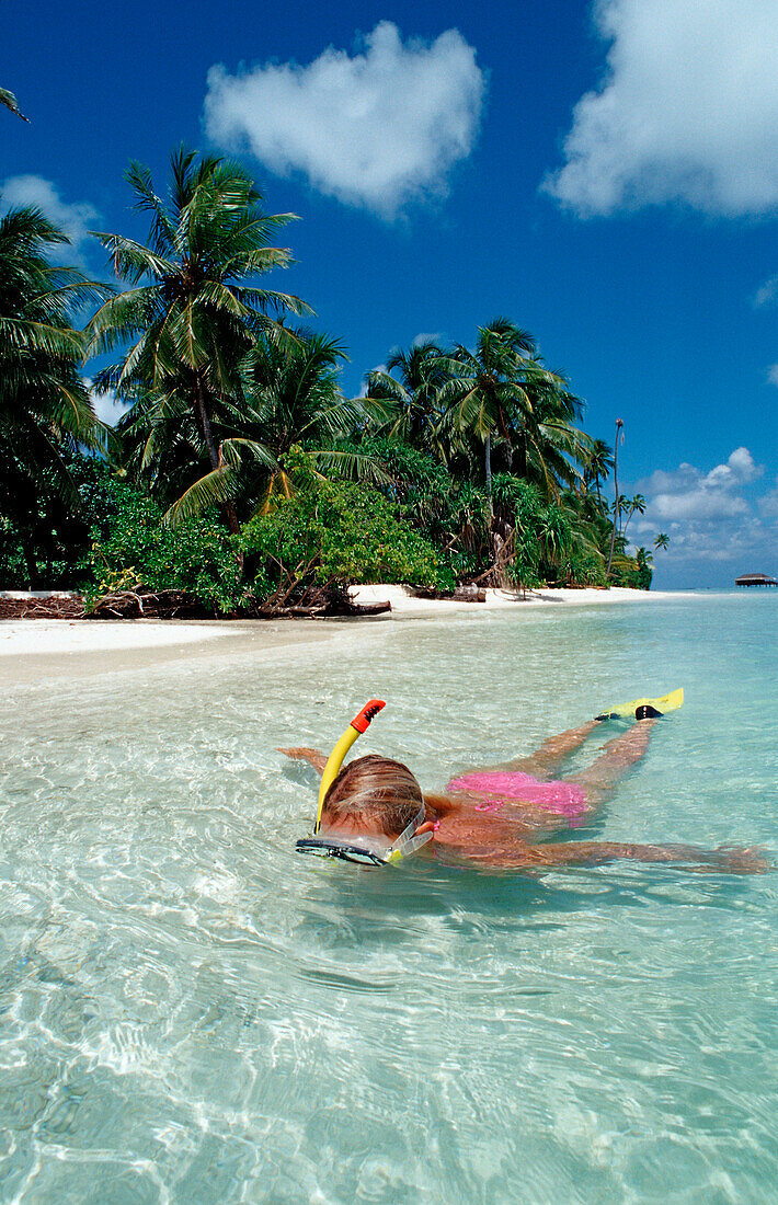 Snorkeler at Maldives, Maldives, Indian Ocean, Medhufushi, Meemu Atoll