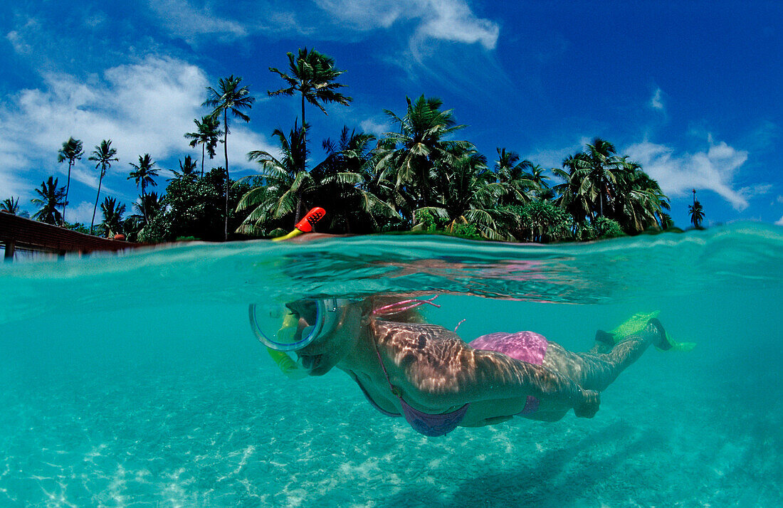 Schnorcheln vor Malediveninsel, Malediven, Indischer Ozean, Medhufushi, Meemu Atoll