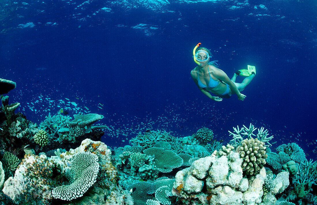 Korallenriff und Schnorchlerin, Malediven, Indischer Ozean, Meemu Atoll