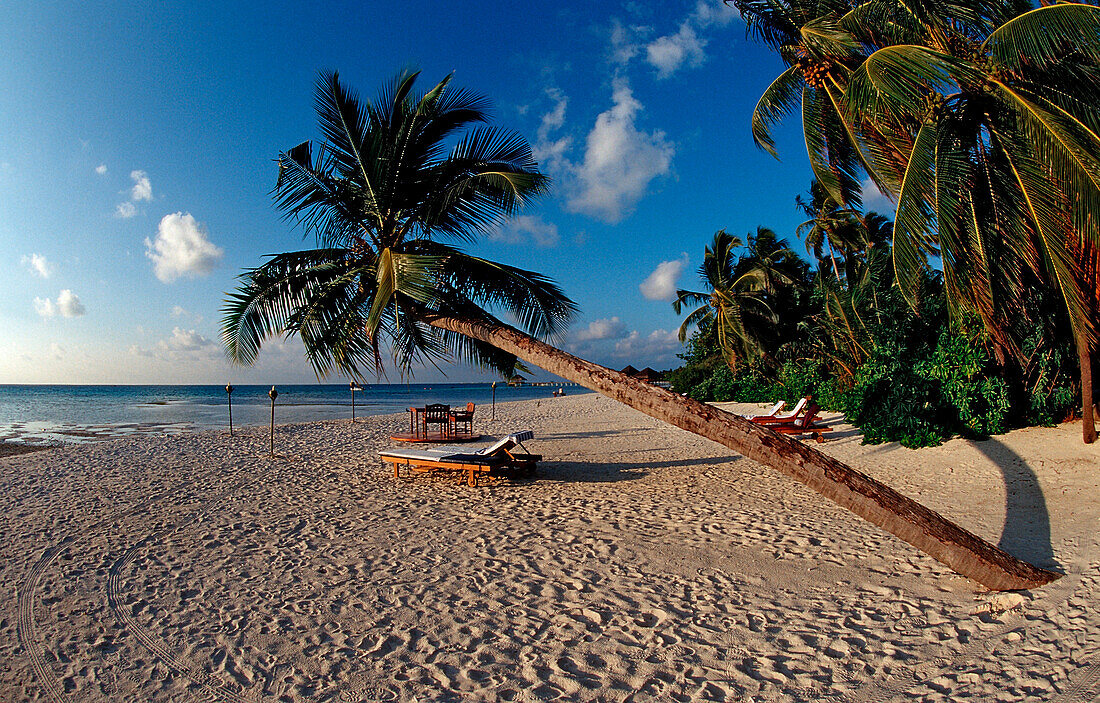 Maledivian Beach, Maldives, Indian Ocean, Medhufushi, Meemu Atoll