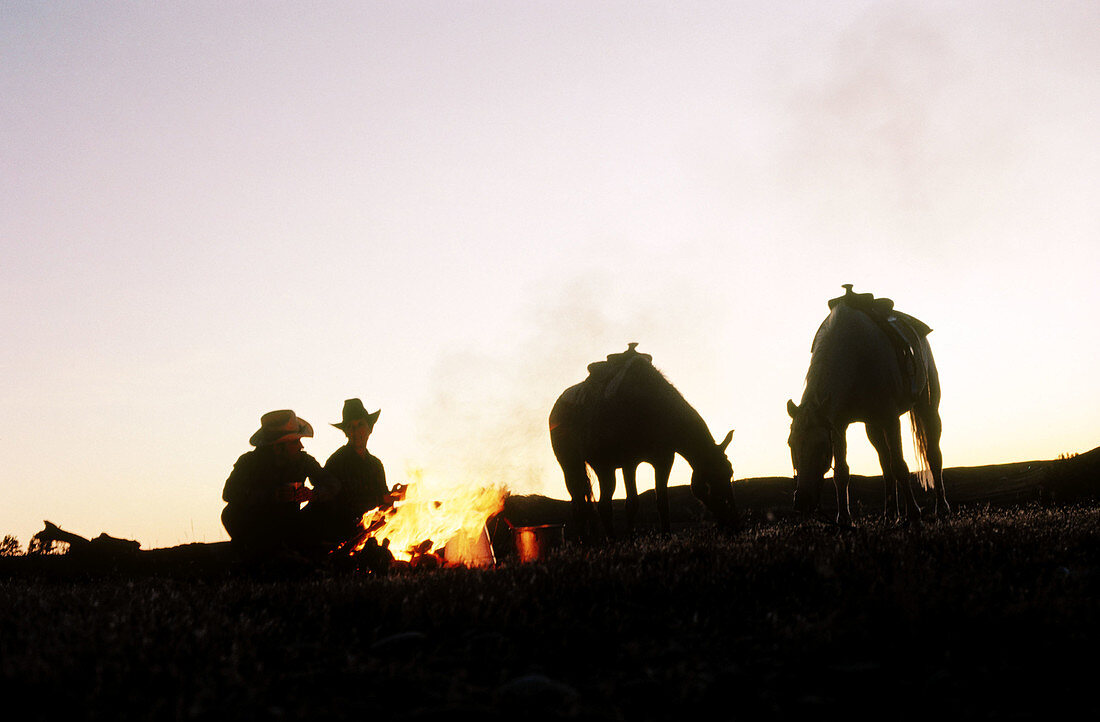 Couple of ranchers at campfire with horses