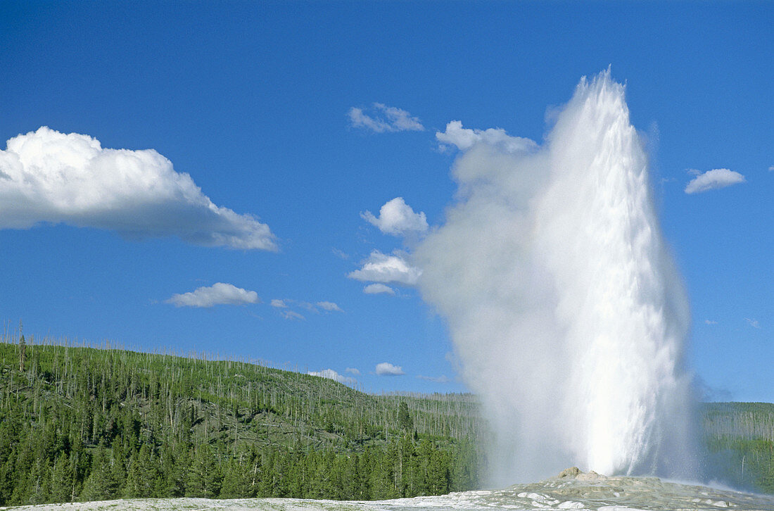 Old Faithful Geyser. Yellowstone National Park. Wyoming. USA