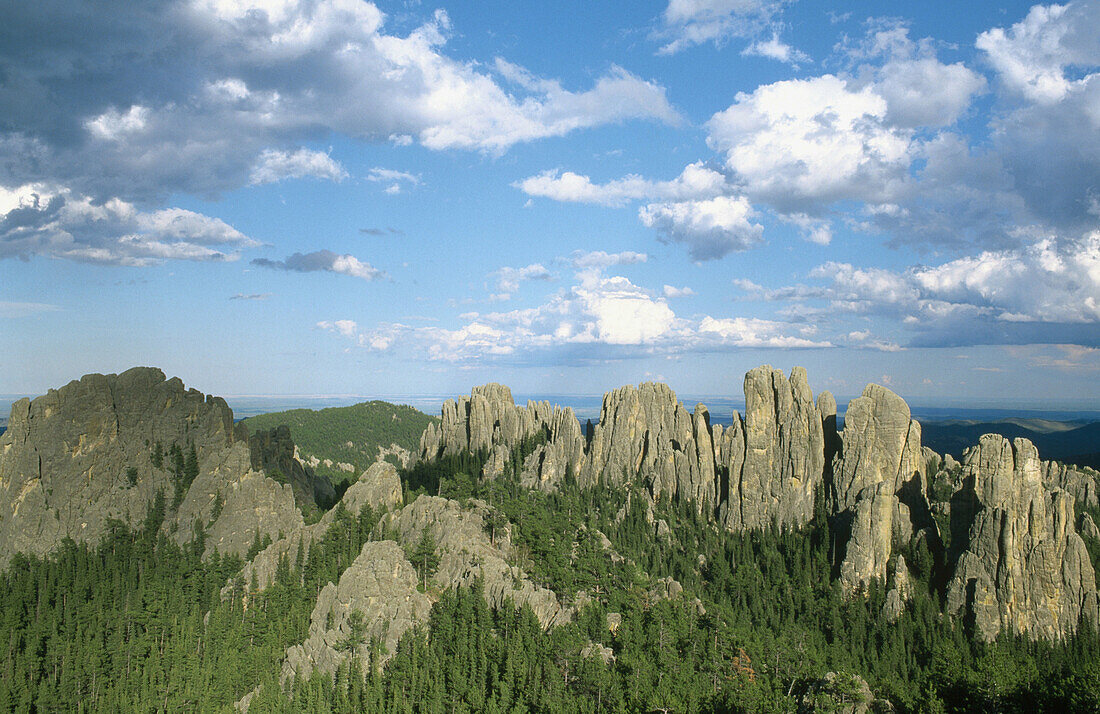 Black Hills. South Dakota. USA