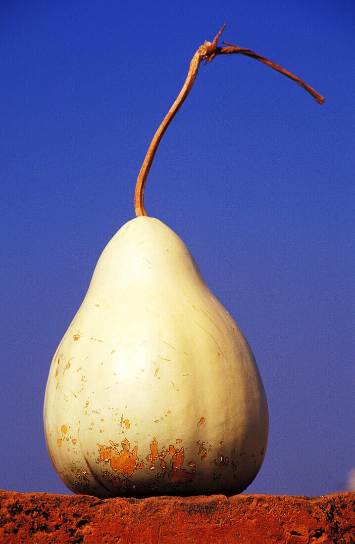 Pear. Myanmar
