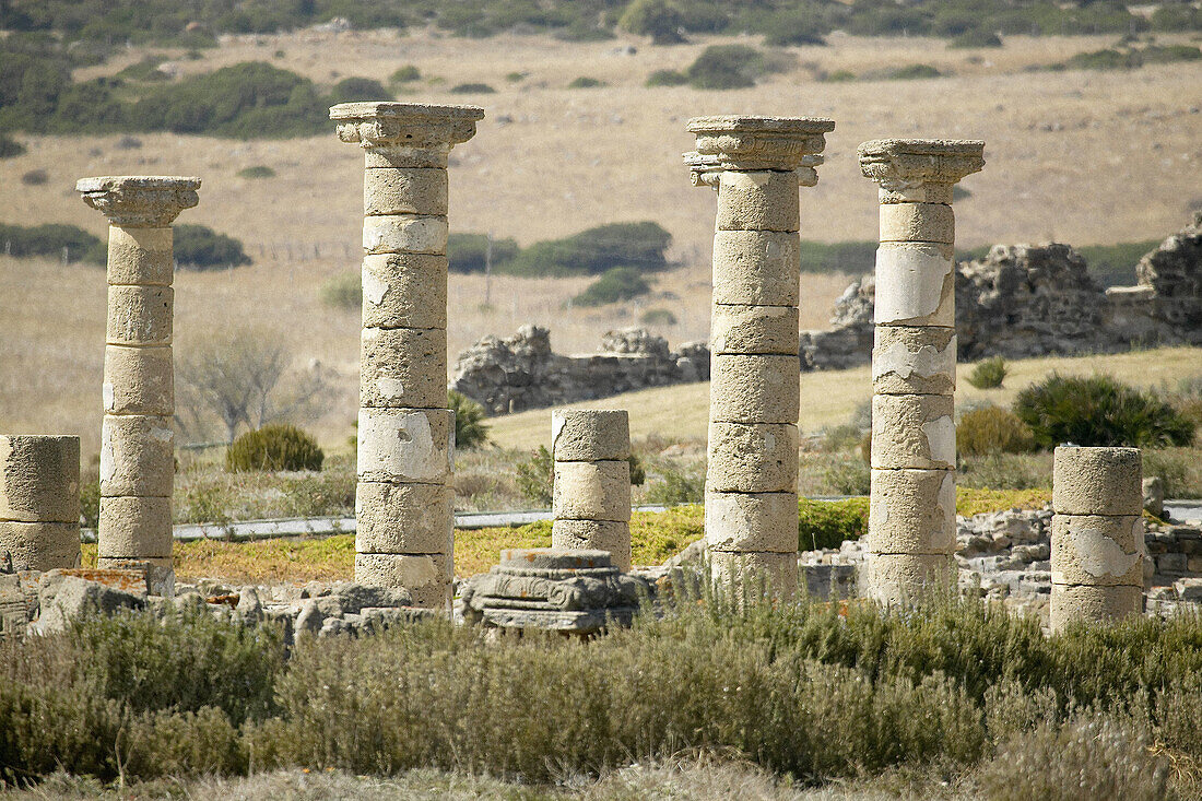 Ruins of basilica in the old roman city of Baelo Claudia (II BC). Tarifa. Cadiz province. Spain