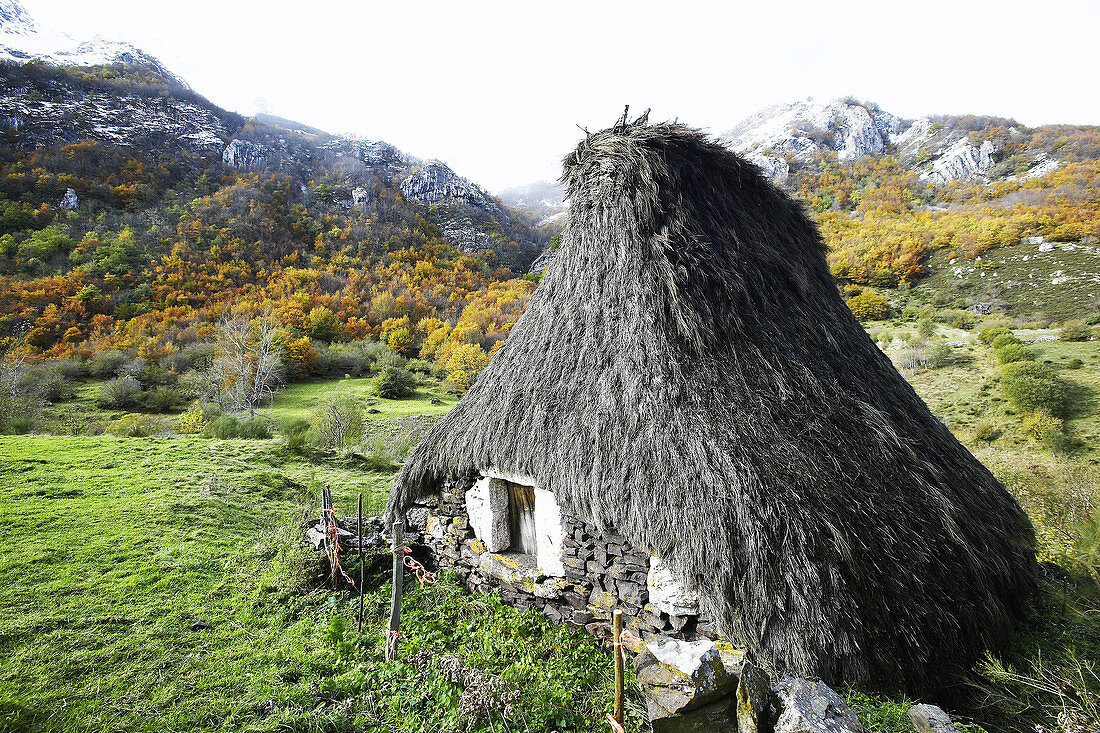 Teito (typical dwelling). Somiedo Natural Park. Asturias. Spain