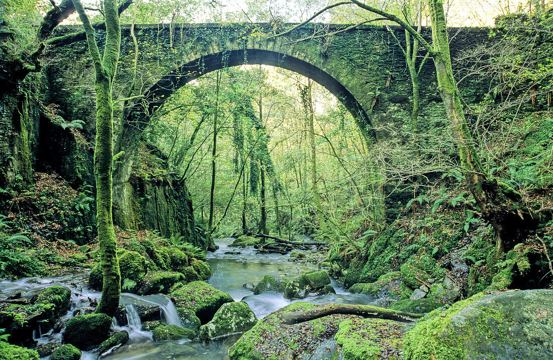 Bridge over brook in Caaveiro. La Coruña province. Galicia. Spain